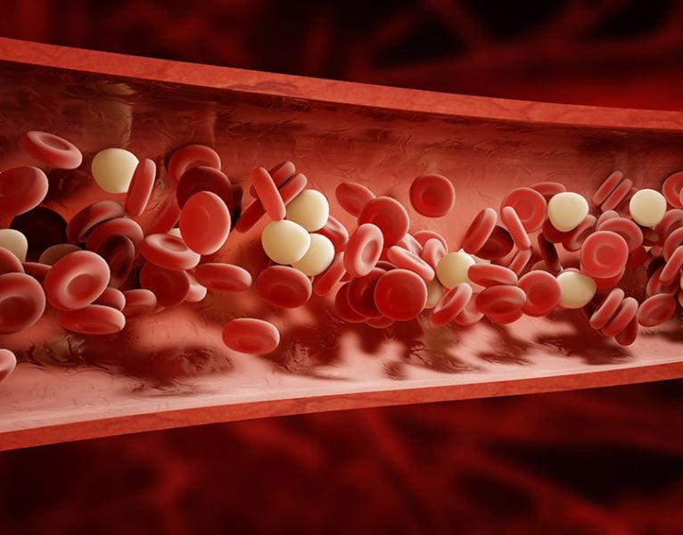 CGI Platelets moving through bloodstream