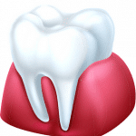 white tooth in gums