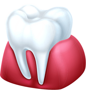 white tooth in gums